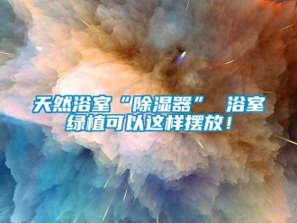 行業新聞天然浴室“除濕器” 浴室綠植可以這樣擺放！