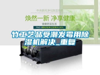 行業新聞竹工藝品受潮發霉用除濕機解決_重復