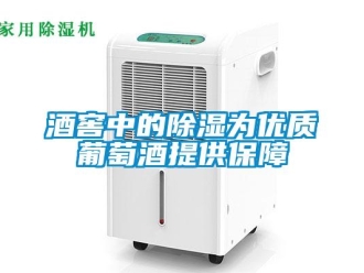 行業新聞酒窖中的除濕為優質葡萄酒提供保障