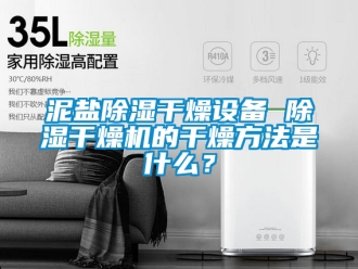 行業(yè)新聞泥鹽除濕干燥設(shè)備 除濕干燥機(jī)的干燥方法是什么？