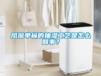 企業新聞鳳凰單樅的抽濕工藝是怎么回事？