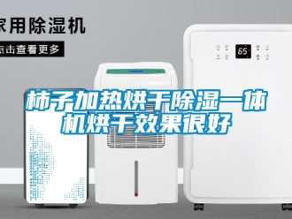 行業新聞柿子加熱烘干除濕一體機烘干效果很好