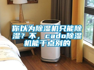 行業(yè)新聞你以為除濕機(jī)只能除濕？不，cado除濕機(jī)能干點(diǎn)別的
