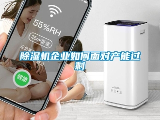 常見問(wèn)題除濕機(jī)企業(yè)如何面對(duì)產(chǎn)能過(guò)剩