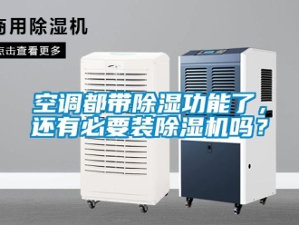 行業(yè)新聞空調(diào)都帶除濕功能了，還有必要裝除濕機嗎？