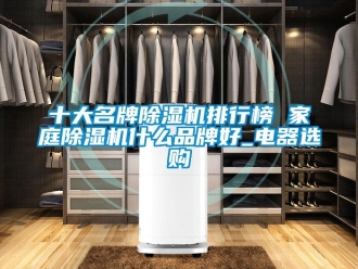 企業(yè)新聞十大名牌除濕機(jī)排行榜 家庭除濕機(jī)什么品牌好_電器選購