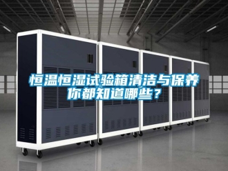 知識百科恒溫恒濕試驗箱清潔與保養(yǎng)你都知道哪些？