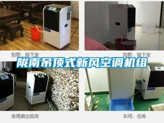 企業(yè)新聞隴南吊頂式新風(fēng)空調(diào)機(jī)組