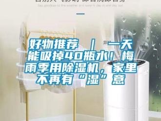行業新聞好物推薦 ｜ 一天能吸掉40瓶水！梅雨季用除濕機，家里不再有“濕”意