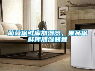 行業(yè)新聞葡萄保鮮庫(kù)加濕器，果品保鮮庫(kù)加濕裝置