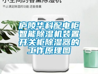 行業新聞廬陵華科配電柜智能除濕機裝置開關柜除濕器的工作原理圖