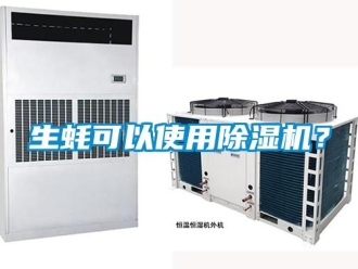 知識百科生蠔可以使用除濕機？