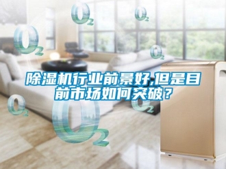 常見問題除濕機(jī)行業(yè)前景好,但是目前市場(chǎng)如何突破？
