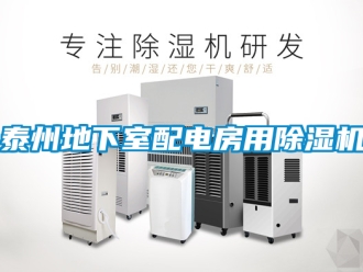 行業新聞泰州地下室配電房用除濕機