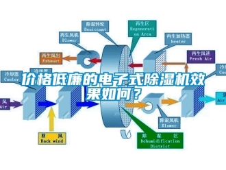 企業新聞價格低廉的電子式除濕機效果如何？