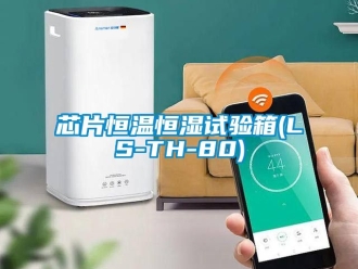 知識百科芯片恒溫恒濕試驗箱(LS-TH-80)