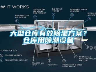 企業(yè)新聞大型倉庫有效除濕方案？倉庫用除潮設備
