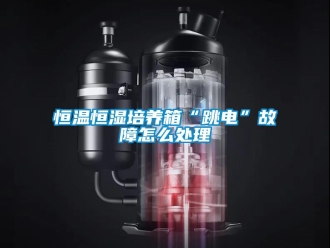 知識百科恒溫恒濕培養箱“跳電”故障怎么處理