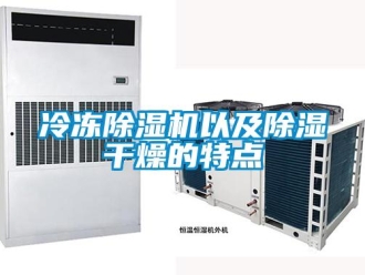 行業新聞冷凍除濕機以及除濕干燥的特點
