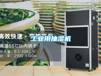 企業(yè)新聞工業(yè)用抽濕機(jī)