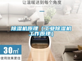 常見問題除濕機(jī)原理（工業(yè)除濕機(jī)工作原理）