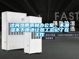 知識百科這間熱帶雨林辦公室，不潮濕不下雨還讓員工忘記了在工作