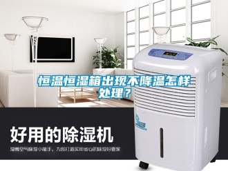 知識百科恒溫恒濕箱出現(xiàn)不降溫怎樣處理？