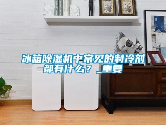 企業新聞冰箱除濕機中常見的制冷劑都有什么？_重復