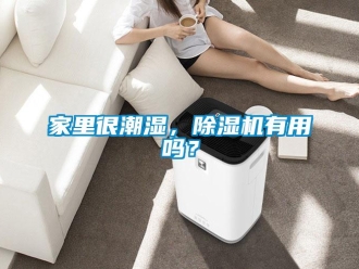 行業新聞家里很潮濕，除濕機有用嗎？