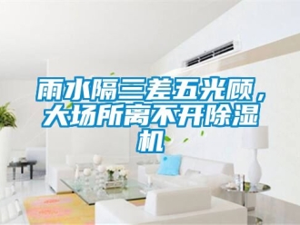 行業(yè)新聞雨水隔三差五光顧，大場所離不開除濕機