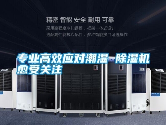 知識(shí)百科專業(yè)高效應(yīng)對(duì)潮濕 除濕機(jī)愈受關(guān)注