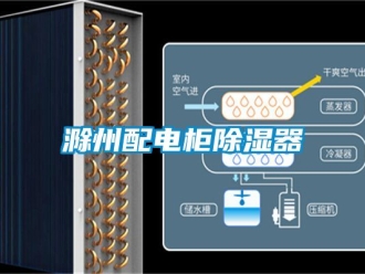 行業新聞滁州配電柜除濕器