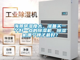 行業新聞海景房濕度大，準備買一個好一點的除濕機，除濕機哪個牌子最好？