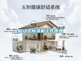 行業新聞移動式除濕機工作原理