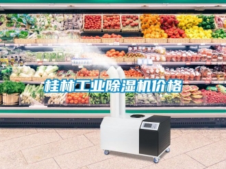 常見問題桂林工業(yè)除濕機(jī)價格