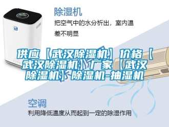 企業(yè)新聞供應(yīng)【武漢除濕機】價格【武漢除濕機】廠家【武漢除濕機】除濕機-抽濕機