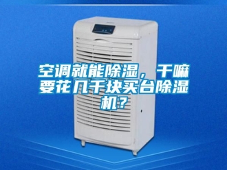 行業新聞空調就能除濕，干嘛要花幾千塊買臺除濕機？