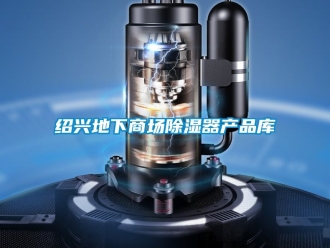 行業新聞紹興地下商場除濕器產品庫