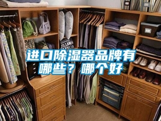 行業(yè)新聞進(jìn)口除濕器品牌有哪些？哪個(gè)好
