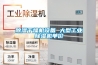 除濕干燥機設備 大型工業除濕機單價