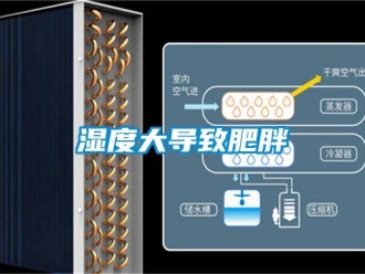 知識百科濕度大導致肥胖