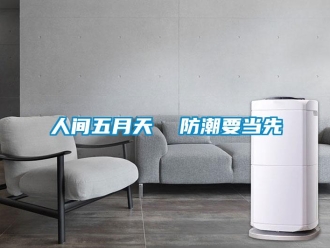 行業新聞人間五月天  防潮要當先