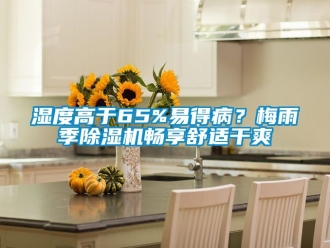 行業新聞濕度高于65%易得??？梅雨季除濕機暢享舒適干爽