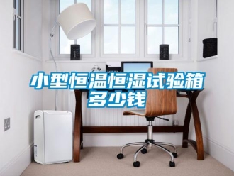 知識百科小型恒溫恒濕試驗箱多少錢