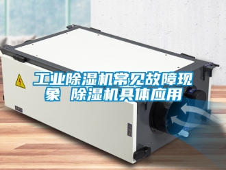 常見問題工業(yè)除濕機常見故障現(xiàn)象 除濕機具體應(yīng)用