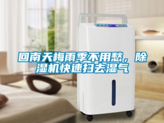行業新聞回南天梅雨季不用愁，除濕機快速掃去濕氣