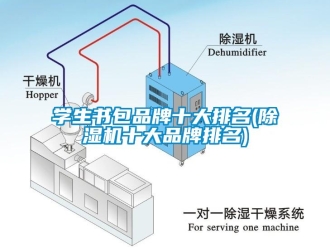 企業新聞學生書包品牌十大排名(除濕機十大品牌排名)