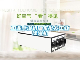 企業新聞工業除濕機廠家批發工業除濕機