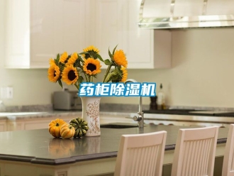 行業(yè)新聞藥柜除濕機(jī)
