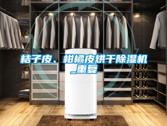 行業新聞桔子皮、柑橘皮烘干除濕機_重復